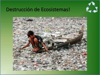 Destrucción de Ecosistemas!
 
