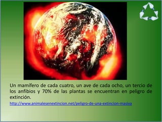 Un mamífero de cada cuatro, un ave de cada ocho, un tercio de
los anfibios y 70% de las plantas se encuentran en peligro de
extinción.
http://www.animalesenextincion.net/peligro-de-una-extincion-masiva
 