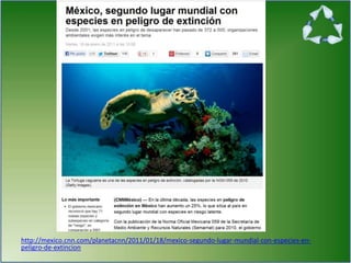 http://mexico.cnn.com/planetacnn/2011/01/18/mexico-segundo-lugar-mundial-con-especies-en-
peligro-de-extincion
 