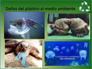 Daños del plástico al medio ambiente
 