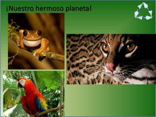 ¡Nuestro hermoso planeta!
 