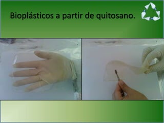 Bioplásticos a partir de quitosano.
 