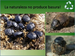 La naturaleza no produce basura!
 