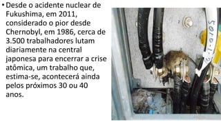 • Desde o acidente nuclear de 
Fukushima, em 2011, 
considerado o pior desde 
Chernobyl, em 1986, cerca de 
3.500 trabalhadores lutam 
diariamente na central 
japonesa para encerrar a crise 
atômica, um trabalho que, 
estima-se, acontecerá ainda 
pelos próximos 30 ou 40 
anos. 
 