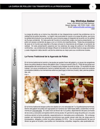 1LA CARGA DE POLLOS Y SU TRANSPORTE A LA PROCESADORA
Patologíaysanidad
ProducciónymanejoConferencias
Ing. Winfridus Bakker
Avian, una división de Cobb-Vantress.
Siloam Springs – AR 72761-1030 – USA
Email: bakkerw@cobb-vantress.com
USA
La carga de pollos es un tema muy discutido en las integraciones cuando hay problemas con la
calidad de los pollos faenados. La región más avanzada en cuanto a la carga de pollos, que toma
la calidad del producto muy seriamente y que inclusive paga al integrado de acuerdo con la calidad
es Europa occidental. En esta parte del mundo el consumidor exige una buena presentación, un
pollo con escaso contenido de agua y con un mínimo de imperfecciones. Todas las procesadoras
de aves en el mundo que exportan a Europa conocen la importancia de entregar un producto de
calidad. En esta presentación pasamos por los sistemas de carga de pollos en los diferentes
continentes. Las condiciones de trabajo influyen en la decisión de cambiar hacia la carga automática
y cada integración debe decidir cuál de los sistemas es mejor para sus condiciones locales.
La Forma Tradicional de la Agarrada de Pollos
En la forma tradicional el camión y las jaulas se quedan fuera del galpón y un grupo de cargadores
llevan los pollos desde el interior del galpón (foto 1) hacia el camión (foto 2). Parte de las jaulas son
descargadas del camión para hacer un espacio para trabajar durante la carga. El resultado de este
trabajo, con poca consideración hacia la calidad del pollo, son los reclamos por parte de la planta
procesadora debido a los hematomas externos (pechuga) e internos (muslo), alas, piernas quebra-
das, etc.
En la forma tradicional atrapar pollos era rápida con una velocidad de 7 a 10 pollos/persona/minuto.
Dentro del galpón los pollos son agrupados en números de 1000 hasta 2000 y sostenidos normal-
mente por una sola pata. En cada mano se llevan de 4 a 5 pollos, dependiendo del peso promedio
de las aves y colocados (arrojados) dentro de las jaulas. En general la carga de pollos por una pata
continúa siendo la forma preferida, especialmente en mercados poco sofisticados. Sin embargo
pueden ser tremendos los perjuicios económicos que puede causar este tipo de carga para la
procesadora, obligada a cortar los pollos dañados (3-15%). Con la conscientización de que el
dinero se gana en el pollo y que pollos con hematomas, ampollas, rasguños, alas quebradas etc.
Foto 1 Foto 2
 