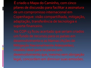 É criado o Mapa do Caminho, com cinco pilares de discussão para facilitar a assinatura de um compromisso internacional em Copenhague: visão compartilhada, mitigação, adaptação, transferência de tecnologia e suporte financeiro.  Na COP-13 ficou acertado que seriam criados um fundo de recursos para os países em desenvolvimento e as Namas (Ações de Mitigação Nacionalmente Adequadas), modelo ideal para os países em desenvolvimento que, mesmo sem obrigação legal, concordem em diminuir suas emissões.  