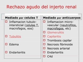 Rechazo agudo del injerto renal 
Mediado por celulas T 
 Inflamacion tubulo-intersticial 
(celulas T, 
macrofagos, eos) 
 Tubulitis 
 Edema 
 Endarteritis 
Mediado por anticuerpos 
 Inflamacion micro-vascular 
(neutrofilos, 
macrofagos, etc) 
 Glomerulitis 
 Capilaritis 
 Trombosis capilar 
 Necrosis fibrinoide 
 Necrosis arterial 
 Endarteritis 
 C4d 
 