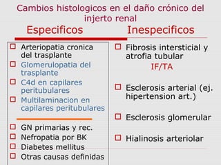 Cambios histologicos en el daño crónico del 
injerto renal 
Especificos Inespecificos 
 Arteriopatia cronica 
del trasplante 
 Glomerulopatia del 
trasplante 
 C4d en capilares 
peritubulares 
 Multilaminacion en 
capilares peritubulares 
 GN primarias y rec. 
 Nefropatia por BK 
 Diabetes mellitus 
 Otras causas definidas 
 Fibrosis intersticial y 
atrofia tubular 
IF/TA 
 Esclerosis arterial (ej. 
hipertension art.) 
 Esclerosis glomerular 
 Hialinosis arteriolar 
 