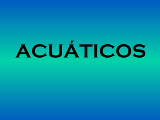 ACUÁTICOS

 
