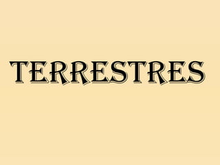 TERRESTRES

 