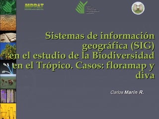 CarlosCarlos Marín R.Marín R.
Sistemas de informaciónSistemas de información
geográfica (SIG)geográfica (SIG)
en el estudio de la Biodiversidaden el estudio de la Biodiversidad
en el Trópico. Casos: floramap yen el Trópico. Casos: floramap y
divadiva
 