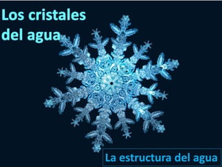 La estructura del agua
 