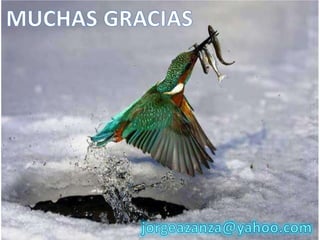 Conferencia sobre el agua