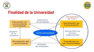 Finalidad de la Universidad
 