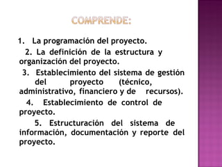 1.  La programación del proyecto. 2. La definición de la estructura y  organización del proyecto.  3.  Establecimiento del sistema de gestión  del  proyecto (técnico,  administrativo,  financiero y de  recursos). 4.  Establecimiento de control de  proyecto. 5. Estructuración del sistema de  información, documentación y reporte  del proyecto. 