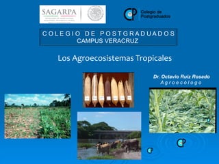 Dr. Octavio Ruiz Rosado
A g r o e c ó l o g o
C O L E G I O D E P O S T G R A D U A D O S
CAMPUS VERACRUZ
Los Agroecosistemas Tropicales
 
