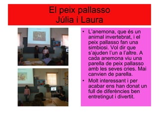 El peix pallasso Júlia i Laura L’anemona, que és un animal invertebrat, i el peix pallasso fan una simbiosi. Vol dir que s’ajuden l’un a l’altre. A cada anemona viu una parella de peix pallasso amb les seves cries. Mai canvien de parella.  Molt interessant i per acabar ens han donat un full de diferències ben entretingut i divertit.  