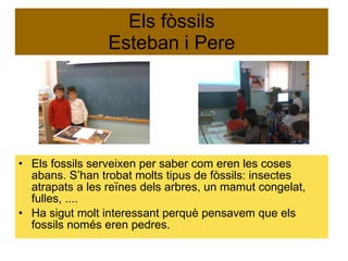 Els fòssils Esteban i Pere Els fossils serveixen per saber com eren les coses abans.  S’han trobat molts tipus de fòssils: insectes atrapats a les reïnes dels arbres, un mamut congelat, fulles, .... Ha sigut molt interessant perquè pensavem que els fossils només eren pedres. 