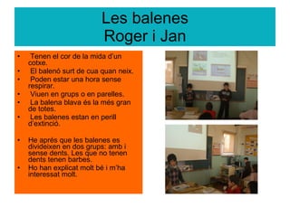 Les balenes Roger i Jan Tenen el cor de la mida d’un cotxe. El balenó surt de cua quan neix.  Poden estar una hora sense respirar.  Viuen en grups o en parelles. La balena blava és la més gran de totes.  Les balenes estan en perill d’extinció. He aprés que les balenes es divideixen en dos grups: amb i sense dents. Les que no tenen dents tenen barbes.  Ho han explicat molt bé i m’ha interessat molt. 