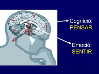 Cognició:  PENSAR Emoció:  SENTIR 