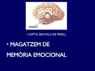 CAPTA SENYALS DE PERILL MAGATZEM DE  MEMÒRIA EMOCIONAL 