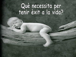 Què necessita per  tenir èxit a la vida? 