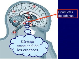 Càrrega emocional de les creences Conductes de defensa  