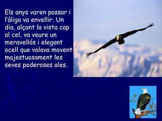 Els anys varen passar i l’àliga va envellir. Un dia, alçant la vista cap al cel, va veure un meravellós i elegant ocell que volava movent majestuosament les seves poderoses ales. 