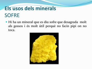 Els usos dels minerals
SOFRE
 Hi ha un mineral que es diu sofre que desagrada molt
als gossos i és molt útil perquè no facin pipí on no
toca.
 