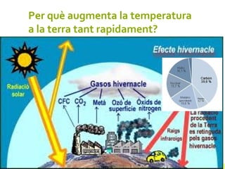 Per què augmenta la temperatura
a la terra tant rapidament?
 