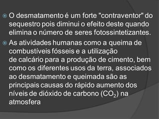 

As discussões na Rio+10 não se restringiram
somente à preservação do meio ambiente,
englobou também aspectos sociais. U...