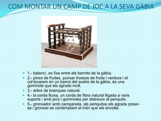 COM MONTAR UN CAMP DE JOC A LA SEVA GÀBIA
 1.- balancí, es fixa entre els barrots de la gàbia.
 2.- pinxo de fruites, punxar trossos de fruita i verdura i el
col·locarem en un barrot del sostre de la gàbia, és una
gominola que els agrada molt.
 3.- arbre de branques natural.
 4.- la corda fluixa, un corda de fibra natural lligada a varis
suports i amb jocs i gominoles per distreure al periquito.
 5.- gronxador amb campaneta, als periquitos els agrada posar-
se i gronxar-se contemplant el món que els envolta.
 