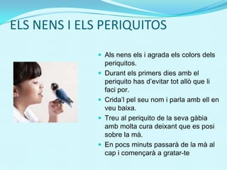ELS NENS I ELS PERIQUITOS
 Als nens els i agrada els colors dels
periquitos.
 Durant els primers dies amb el
periquito has d’evitar tot allò que li
faci por.
 Crida’l pel seu nom i parla amb ell en
veu baixa.
 Treu al periquito de la seva gàbia
amb molta cura deixant que es posi
sobre la mà.
 En pocs minuts passarà de la mà al
cap i començarà a gratar-te
 
