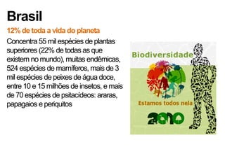 Brasil
12% de toda a vida do planeta
Concentra 55 mil espécies de plantas
superiores (22% de todas as que
existem no mundo), muitas endêmicas,
524 espécies de mamíferos, mais de 3
mil espécies de peixes de água doce,
entre 10 e 15 milhões de insetos, e mais
de 70 espécies de psitacídeos: araras,
papagaios e periquitos
 