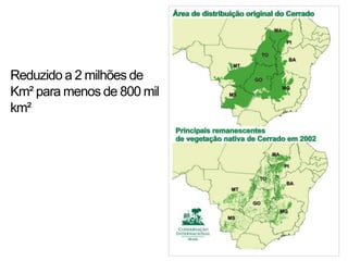 Reduzido a 2 milhões de
Km² para menos de 800 mil
km²
 