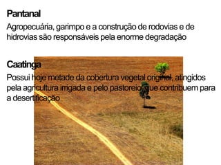 Pantanal
Agropecuária, garimpo e a construção de rodovias e de
hidrovias são responsáveis pela enorme degradação


Caatinga
Possui hoje metade da cobertura vegetal original, atingidos
pela agricultura irrigada e pelo pastoreio, que contribuem para
a desertificação
 