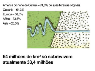 América do norte de Central – 74,6% de suas florestas originais
Oceania – 64,3%
Europa – 58,5%
África – 33,8%
Ásia – 28,5%




64 milhões de km² só sobrevivem
atualmente 33,4 milhões
 