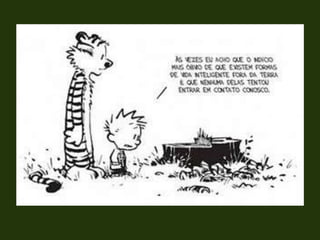 Conferências sobre meio ambiente