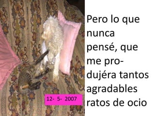 Pero lo que
              nunca
              pensé, que
              me pro-
              dujéra tantos
              agradables
12- -5 2007
12 5- 2007    ratos de ocio
 