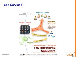 An App Store Ecosystem Platform provider 