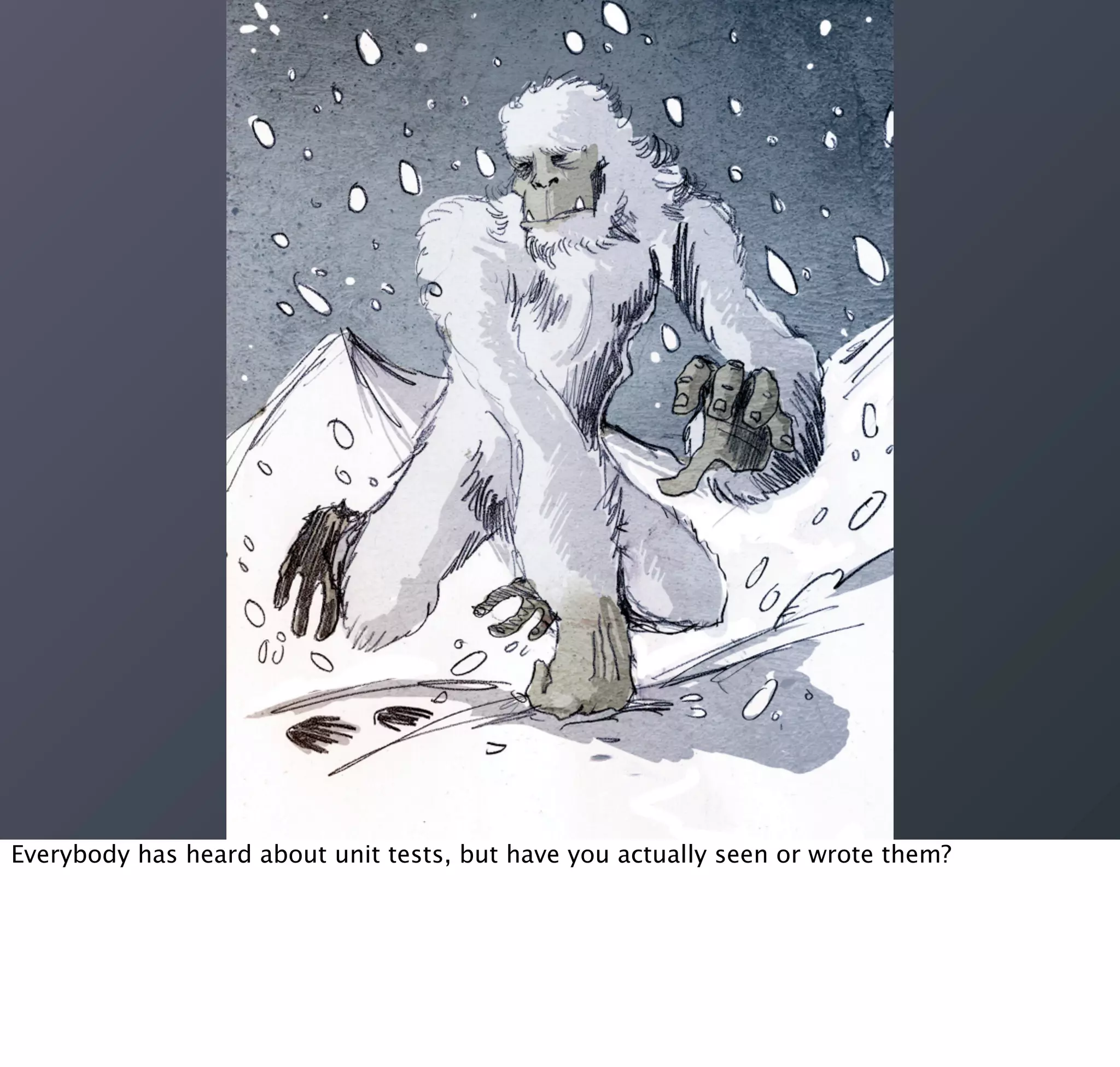 Everybody has heard about unit tests, but have you actually seen or wrote them?
 