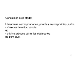 Conclusion à ce stade: L’heureuse correspondance, pour les microsporidies, entre absence de mitochondrie et origine précoce parmi les eucaryotes ne tient plus. 