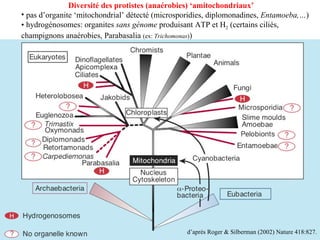 d’après Roger & Silberman (2002) Nature 418:827. Diversité des protistes (anaérobies) ‘amitochondriaux’ pas d’organite ‘mitochondrial’ détecté (microsporidies, diplomonadines,  Entamoeba,… ) hydrogénosomes: organites  sans génome  produisant ATP et H 2  (certains ciliés, champignons anaérobies, Parabasalia  (ex:  Trichomonas ) ) 