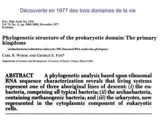 Découverte en 1977 des trois domaines de la vie 