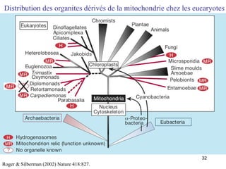 Distribution des organites dérivés de la mitochondrie chez les eucaryotes Roger & Silberman (2002) Nature 418:827. 