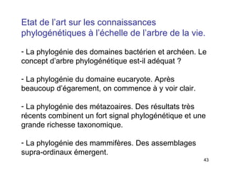 Etat de l’art sur les connaissances phylogénétiques à l’échelle de l’arbre de la vie. La phylogénie des domaines bactérien et archéen. Le concept d’arbre phylogénétique est-il adéquat ? La phylogénie du domaine eucaryote. Après beaucoup d’égarement, on commence à y voir clair. La phylogénie des métazoaires. Des résultats très récents combinent un fort signal phylogénétique et une grande richesse taxonomique. La phylogénie des mammifères. Des assemblages supra-ordinaux émergent. 