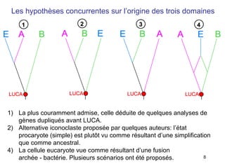 Les hypothèses concurrentes sur l’origine des trois domaines La plus couramment admise, celle déduite de quelques analyses de gènes dupliqués avant LUCA. Alternative iconoclaste proposée par quelques auteurs: l’état procaryote (simple) est plut ôt  vu comme résultant d’une simplification que comme ancestral. 4) La cellule eucaryote vue comme résultant d’une fusion  archée - bactérie. Plusieurs scénarios ont été proposés. 
