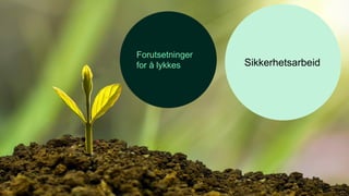 Forutsetninger
for å lykkes Sikkerhetsarbeid
 