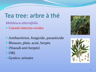 Tea tree: arbre à thé
Melaleuca alternifolia
 Cutané+interne+ovules


 Antibactérien, fongicide, parasiticide
 Blessure, plaie, acné, herpès
 (Niaouli anti herpès)
 ORL
 Gynéco, urinaire


                                           17
 