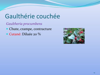Gaulthérie couchée
Gaultheria procumbens
 Chute, crampe, contracture
 Cutané: Diluée 20 %




                               19
 